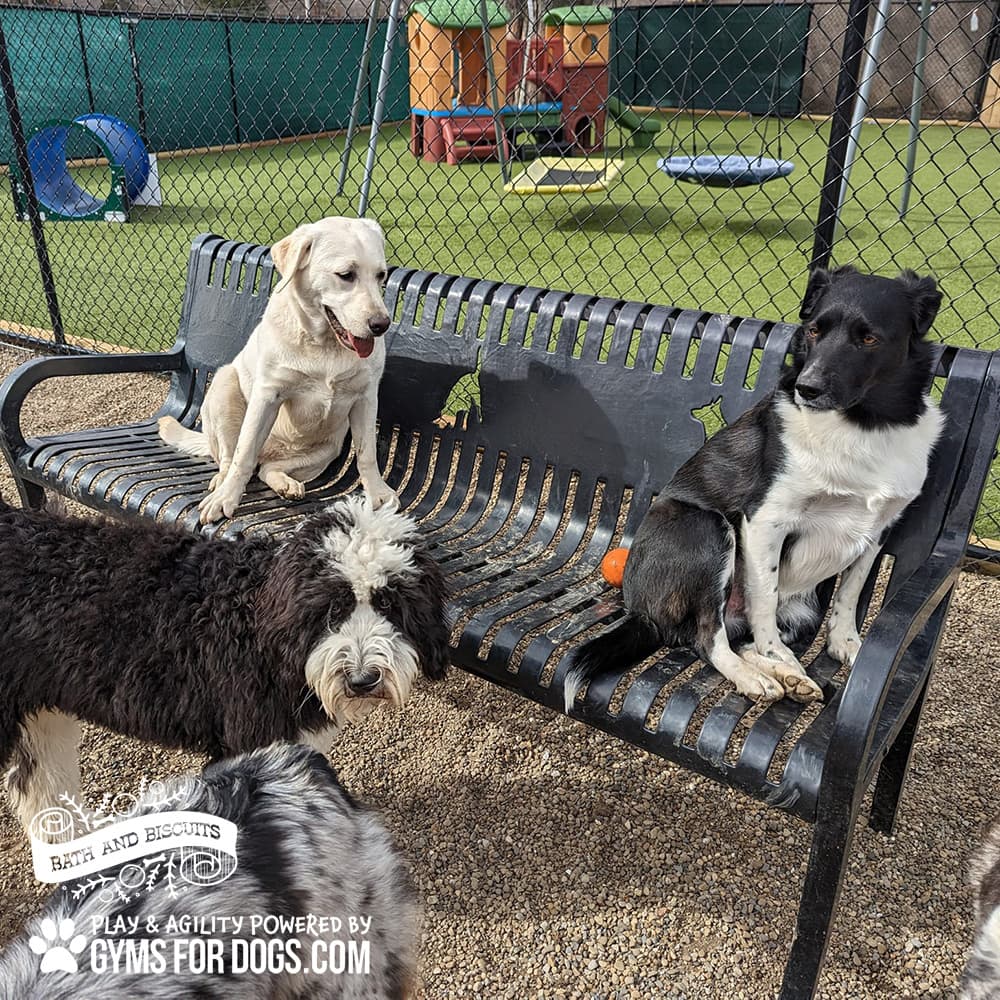 dog park products dog park benches main2