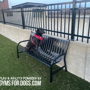 Standard PCS 6ft Benchjpg