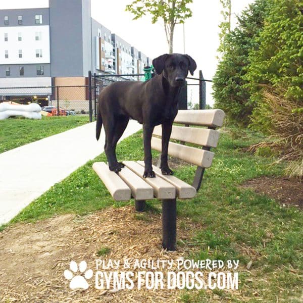 Trail Bench w Back Maggie 1jpg