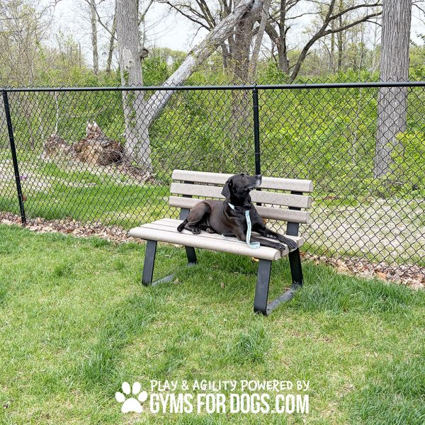 TrailBench SurfaceMount Maggie