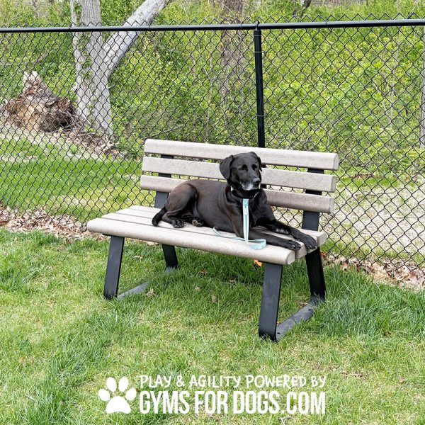 TrailBench SurfaceMount Maggie2