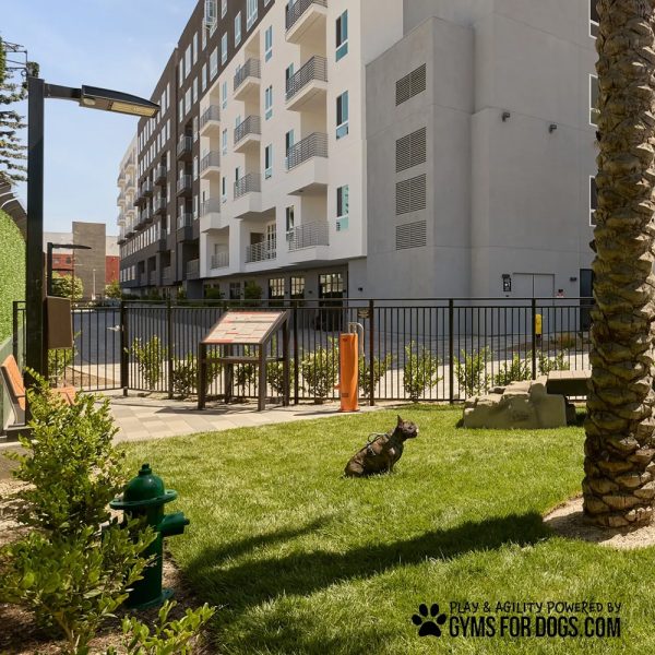 19 qdesoto 42 1jpg - Gyms For Dogs 19 qdesoto 42 1jpg