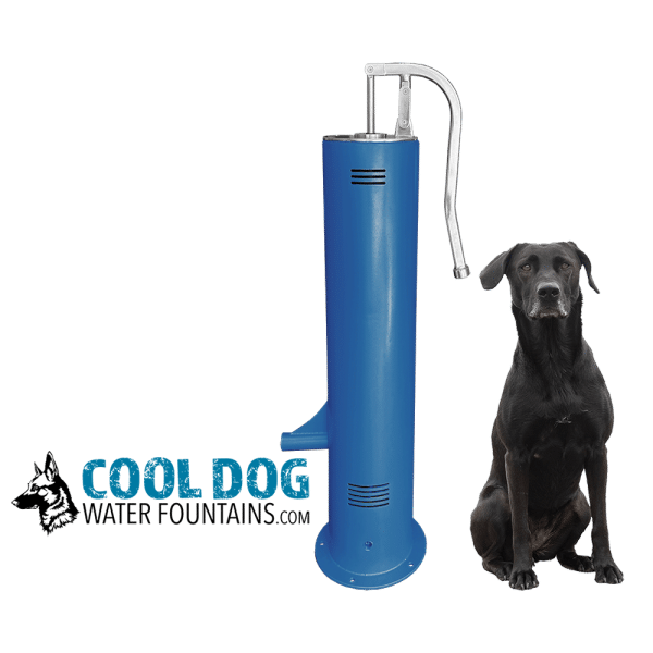 DL 1000 DD SLV Blu update2png