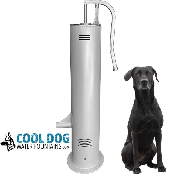 DL 1000 DD SLV SLV Homejpg