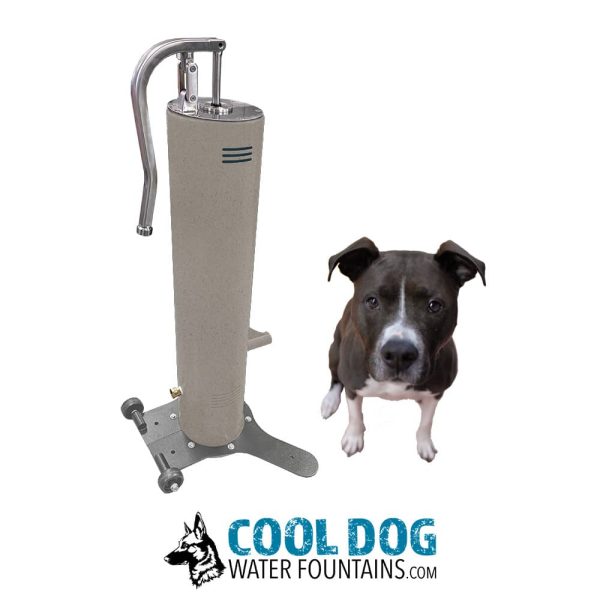 DL 1000 dd slv SER2 1jpg