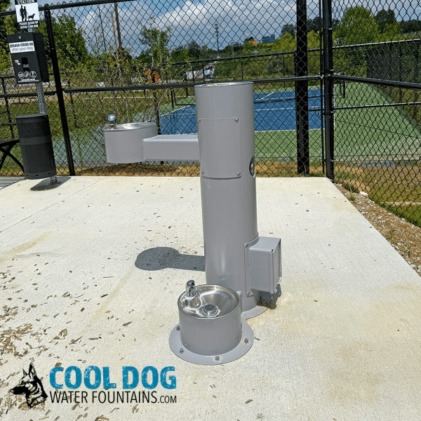 DL 2000 ADA SST NookNinepng