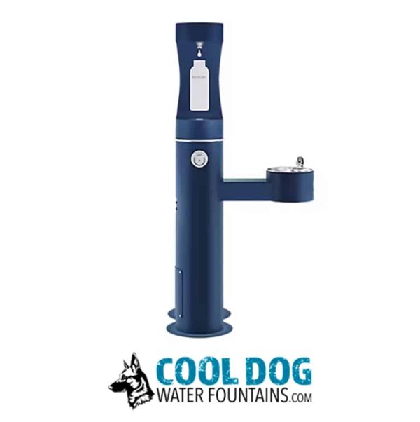 DL 2000 BF STE BLUE 4jpg