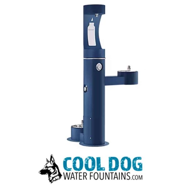 DL 2000 BF STE BLUE 5jpg