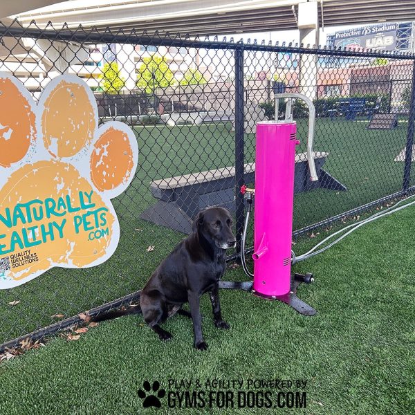 EasyFlowWaterFounatain Maggie2jpg