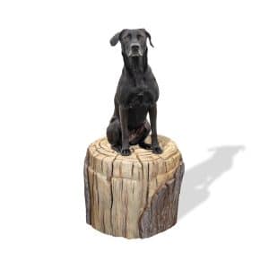 Dog Park Large Log Stepping Form Clean HOME