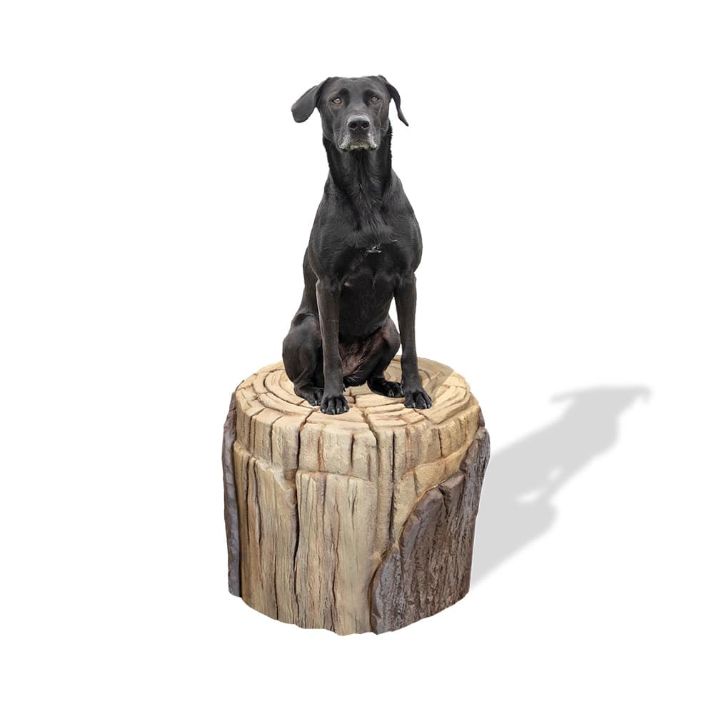 Dog Park Large Log Stepping Form Clean HOME