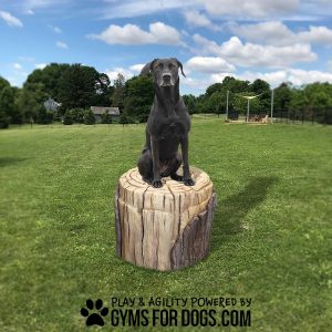 Dog Park Large Log Stepping Form Clean1111