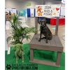 MaggieatVMX kissing booth MaggieatVMX kissing booth