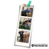 dog park products the kissing booth expo show 3 dog park products the kissing booth expo show 3