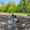 dog playground equipment hill climb 248