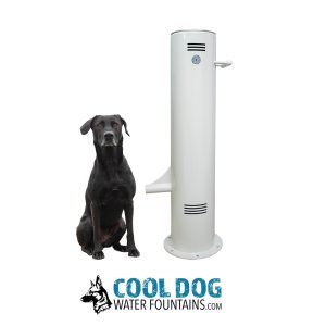 PushButton BoneWhite