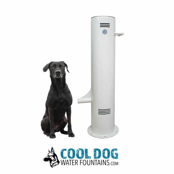 PushButton BoneWhitejpg