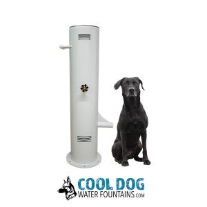 PushButton DWC BoneWhite