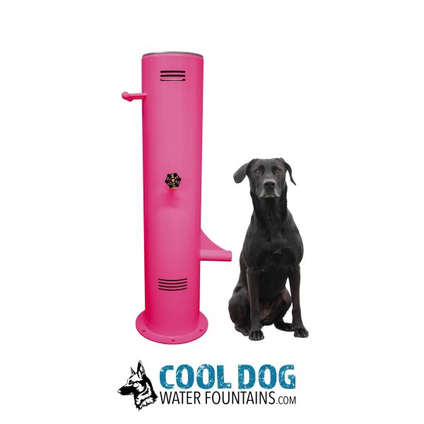 PushButton DWC bubblegum scaled 1jpg