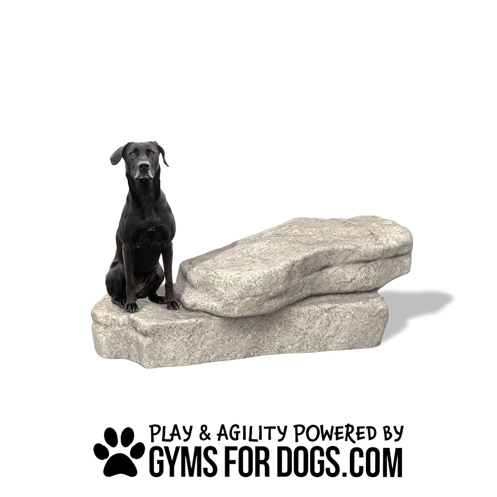 AgilityOverlookFlat NaturalTheme GymsForDogsHOME11