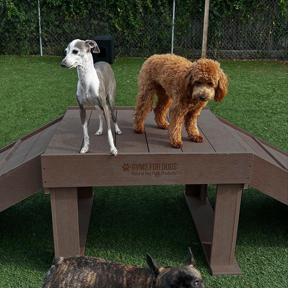 InteractiveAnimalSeries BridgeClimb GymsForDogs HOME4