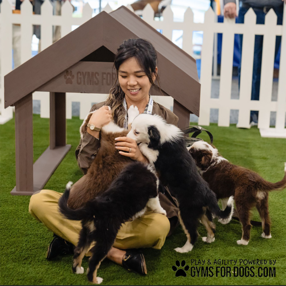 InteractiveAnimalSeries TunnelHouse GymsForDogs 4