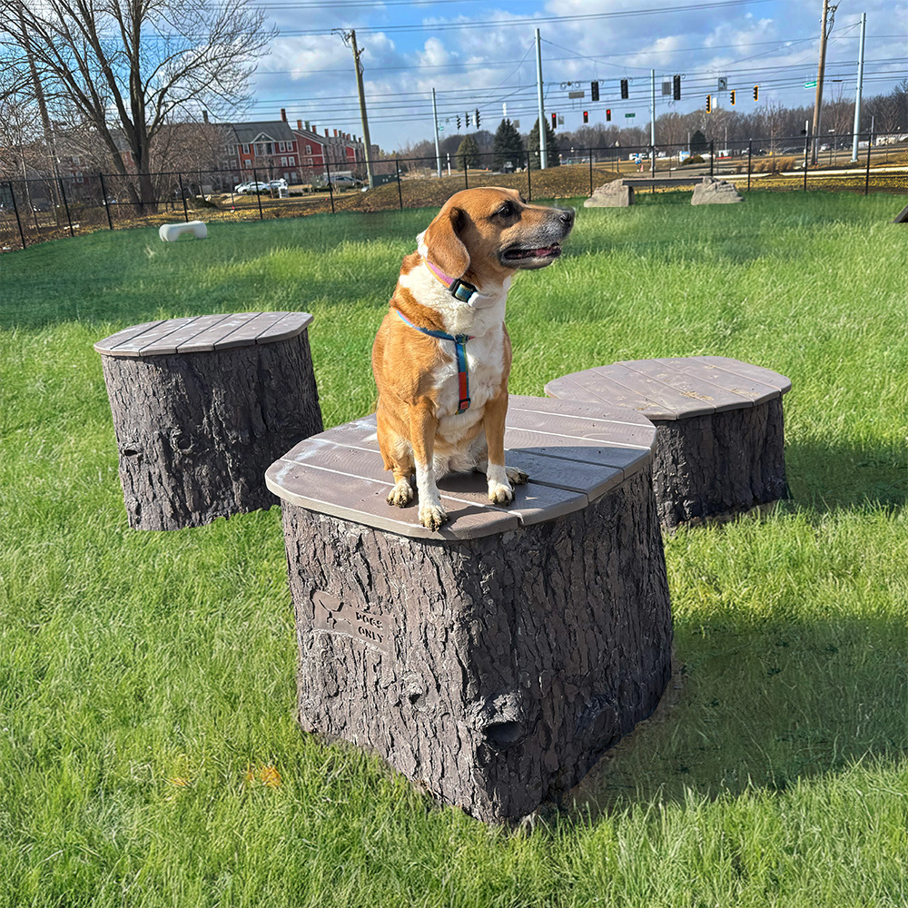 Jumping Stumps West Carmel Apts2 HOME
