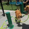 zPW7220 Dual Dog Wash Station