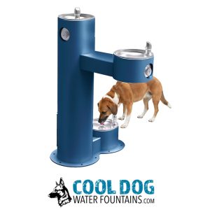 DL 2000 STE BLU