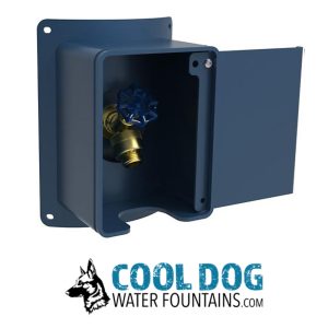 DL DWC STE BLU
