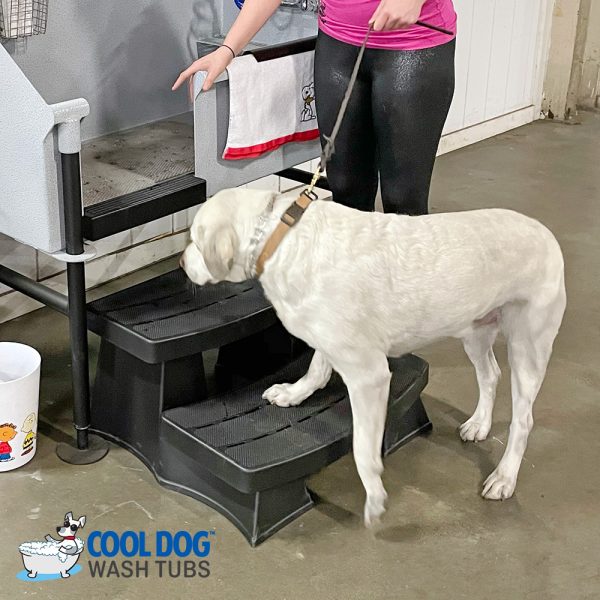 SafetySteps CoolDogWashTubs