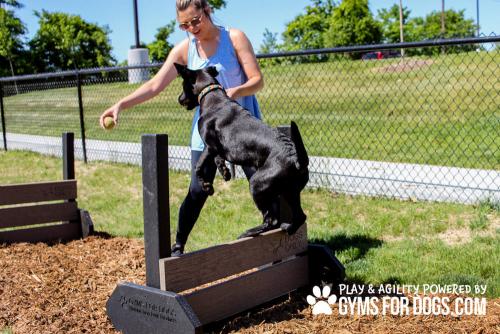 Dog-Play-Ground-Equipment-Jump-Hurdles-1
