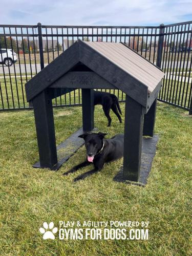 Dog-Playground-Equipment-Tunnel-House-1