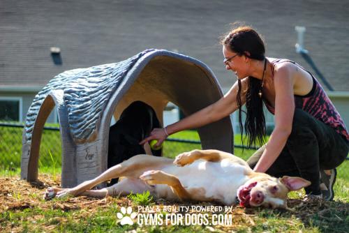 Gyms-For-Dogs-Hammies-Tunnel-House-1