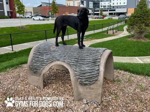 Gyms-For-Dogs-Hammies-Tunnel-House-11