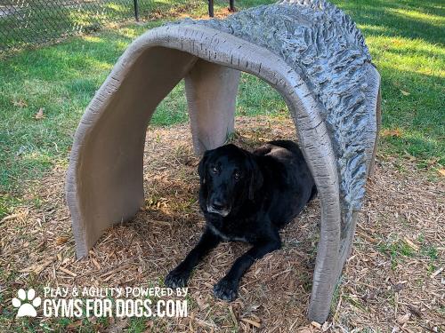 Gyms-For-Dogs-Hammies-Tunnel-House-13