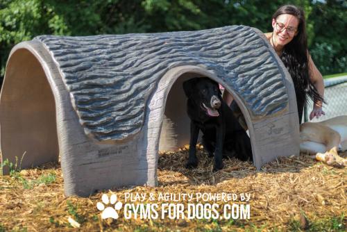 Gyms-For-Dogs-Hammies-Tunnel-House-2