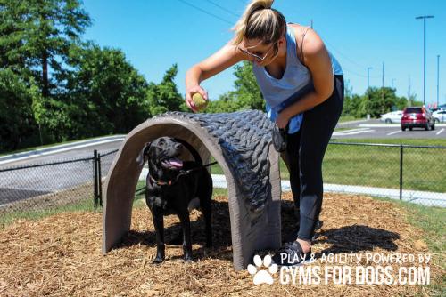 Gyms-For-Dogs-Hammies-Tunnel-House-4