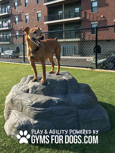 dog-playground-epuipment-luxuy-boulder-large
