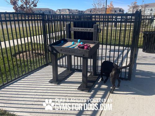 dog-playground-equipment-leash-post-toy-box-6