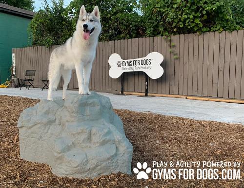 dog-playground-equipment-luxury-climbing-boulder-sm-1